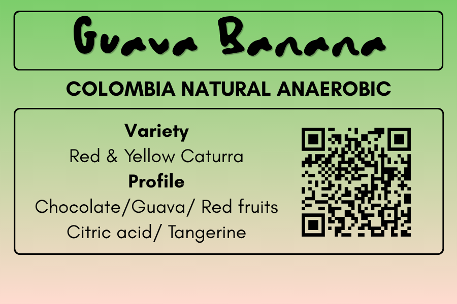 GUAVA BANANA