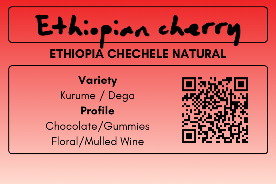 EHTIOPIAN CHERRY